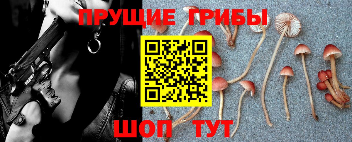 Псилоцибиновые грибы Magic Shrooms Малгобек