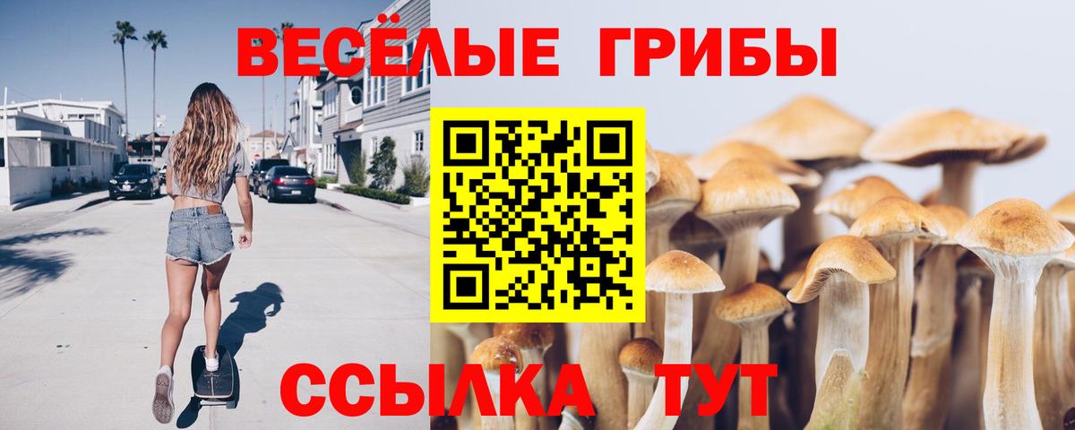 Малгобек  Галлюциногенные грибы Magic Shrooms  Галлюциногенные грибы Psilocybine cubensis  Вход с VPN 